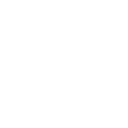 checkered-flag